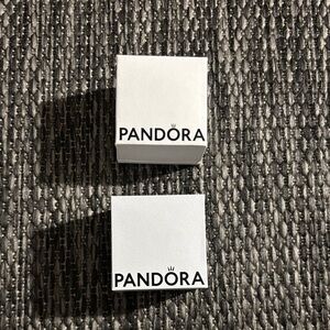 Pandora Charm gift boxes